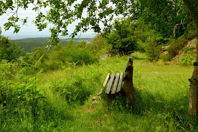 东二番战即 东二番战即