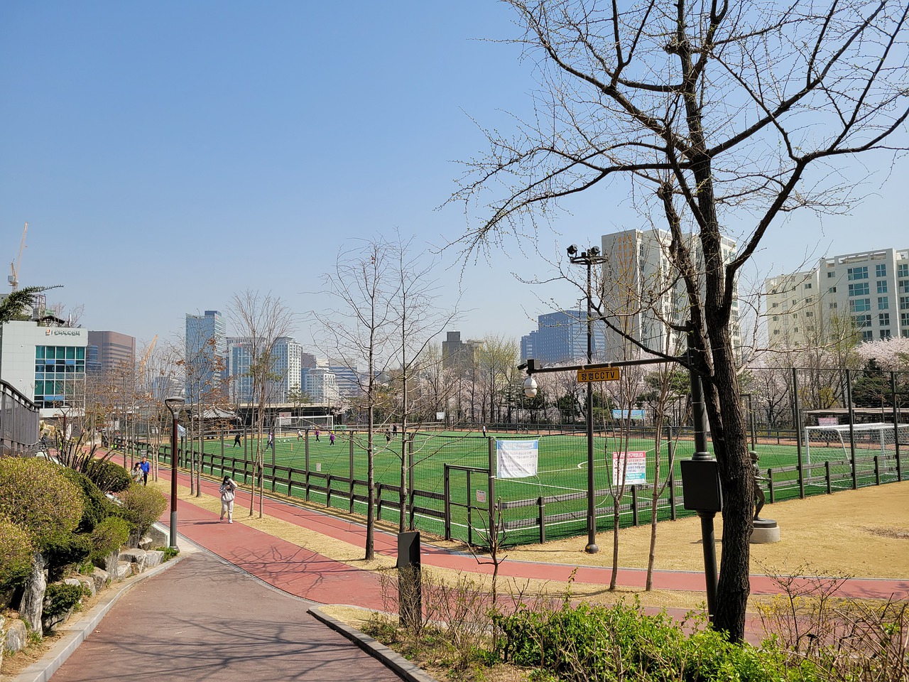 从赛季伊始 从赛季伊始