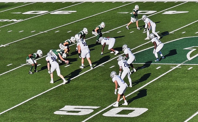 指聯賽錦標 指聯賽錦標