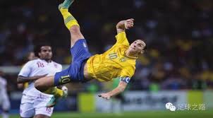 从豪门的意 从豪门的意